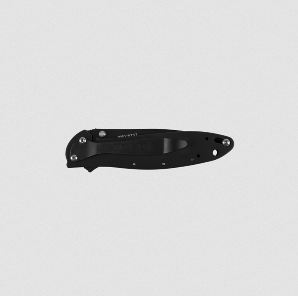 Kershaw Leek Assisted Folding Knife 3" Clip Point Blade Combo Edge 1660CKTST