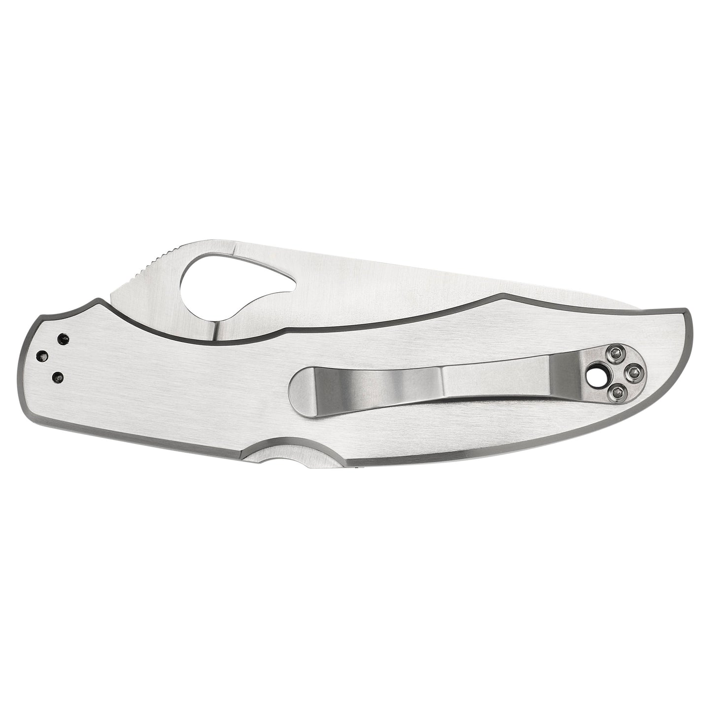 Spyderco Byrd Cara Cara 2 Folding Knife 3.875" Clip Point Combo Edge 8Cr13MoV/Satin Stainless Oval Thumb Hole/Pocket Clip BY03PS2