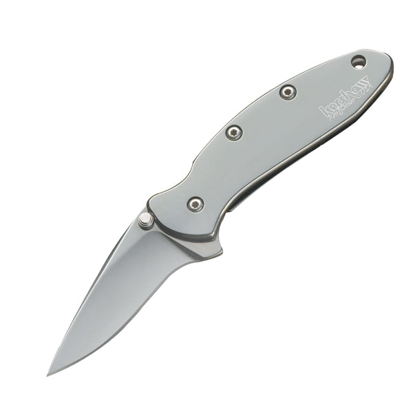 Kershaw Chive Assisted Knife 1.94" Bead Blast Plain Edge Stainless Handle 1600