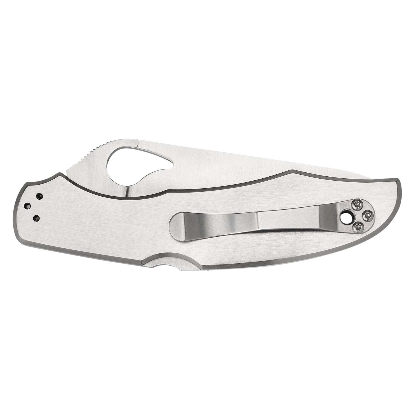 Spyderco Byrd Cara Cara2 3.875" Folding Knife Clip Point Plain Edge 8Cr13MoV/Satin Stainless Oval Thumb Hole/Pocket Clip BY03P2